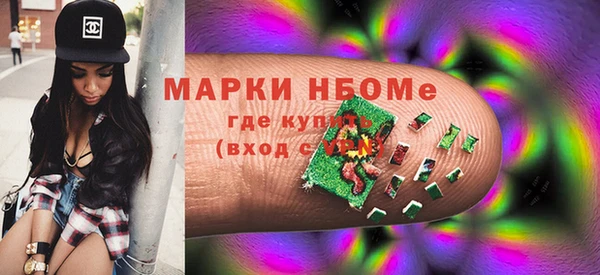 индика Волосово