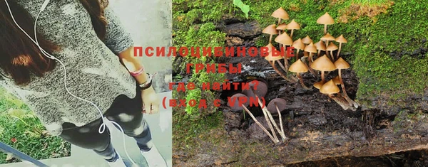 ГАЛЛЮЦИНОГЕННЫЕ ГРИБЫ Верея