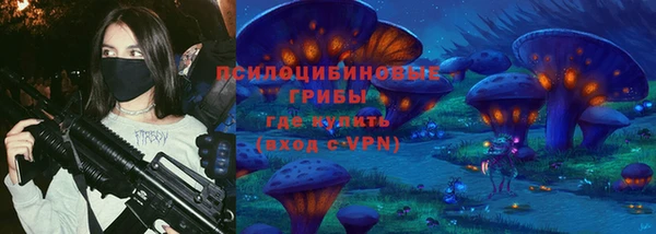 ГАЛЛЮЦИНОГЕННЫЕ ГРИБЫ Верея